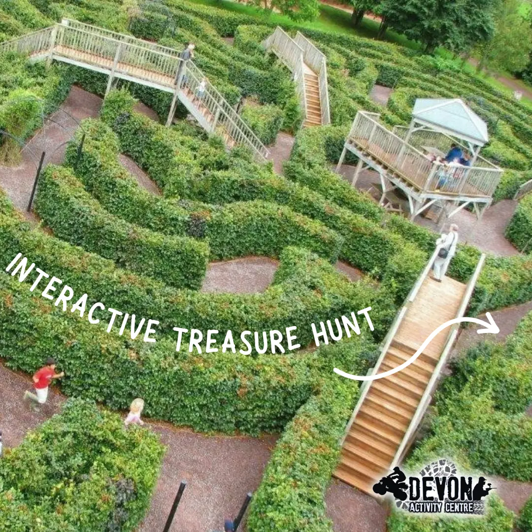 giant maze team activity